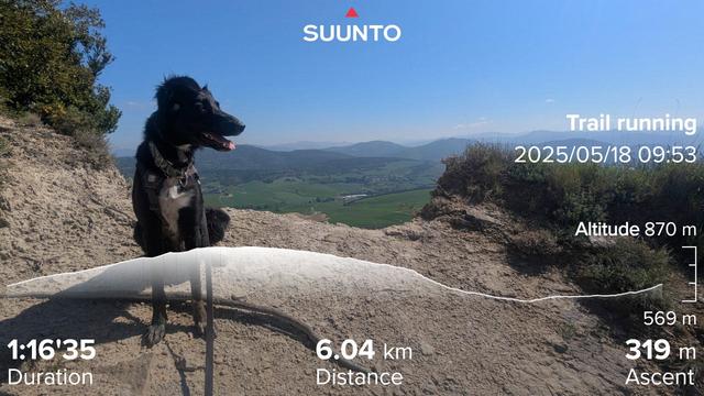 Paddy the Irish mutt, sitting on the edge of the peak. With a view over the valley below. Clear blues skies and some green bushes to either side at the view point. The fun thing is that he is looking at Pamplona and it's build up area yet behind him we got rolling hills and farming. My running stats imposed on top