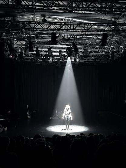 Schwarz gekleidete Schauspielerin, die auf einer weitestgehend dunklen Bühne hell erleuchtet (schon teils überstrahlt) unter einem deutlich abgezeichneten Lichtkegel steht. Über der Bühne ist ein dichtes Deckengerüst mit Bühnentechnik zu sehen. Im Vordergrund sind, im Dunkeln versinkend, die Köpfe der Zuschauer zu erkennen.
