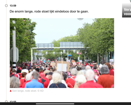 De stoet is eindeloos bij het protest tegen de genocide