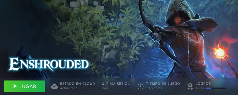 Captura de pantalla de Steam, donde se muestran 13,6 horas jugadas a Enshrouded.