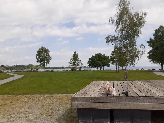 View from behind the summer float of the public bath #Luxburg in direction of #Germany.