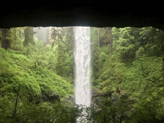 A waterfall is shown from behind, at a bit of a distance. It's in a ravine full of pines and other trees. The view of the ravine is cut off near the top of the photo by the rock ledge over which the waterfall falls. Photo is of North Falls, at Silver Falls State Park in Oregon.