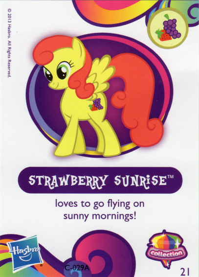 STRAWBERRY SUNRISE
loves to go flying on sunny mornings!