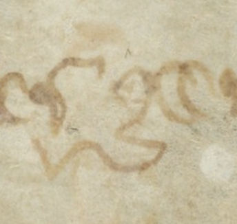 Close-up screenshot of a minuscule letter g, written in a messy medieval script using brown ink on a brownish grey page.