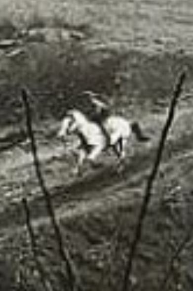 Black and white image of a white horse at gallop with its rider along the Ohio & Erie Canal Towpath, at Lock 2, Akron, Summit County, Ohio, 1947. Image shows the industrial side of an industrial city, with a white horse and rider dashing along the unkept and unkempt portion of the then abandoned canal and its adjacent towpath. Image credit to internationally known professional photographer Andre Kertesz, April, 1947 - https://www.mutualart.com/Artwork/AKRON-OHIO/D73E5796C19F9CD0