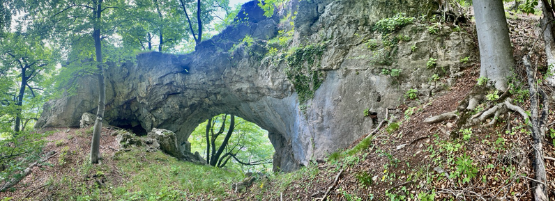 Felsentor mit grün vermossten Felsen und Bäumen rundum