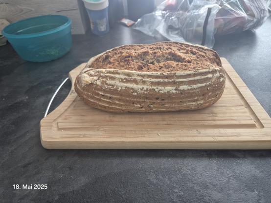 Fertig gebackenes längliches Sauerbrot auf einem Holzbrett. Das Brot hat mittig eine aufgesprungene braune Kruste und melige Streifen.
