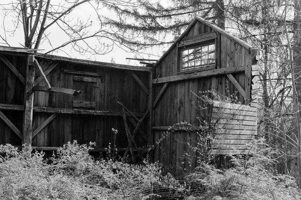 Two walls of an abandoned barn
