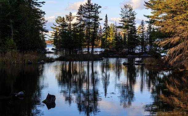 A lake or river in the fall, with almost still water, with blue and pink reflections of the sky, clouds and the trees lining the banks. and in the middle of the two bodies of water.