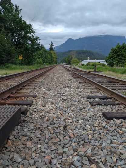 Train railway with trees in the sides and a mountain in the background. The sky is cloudy