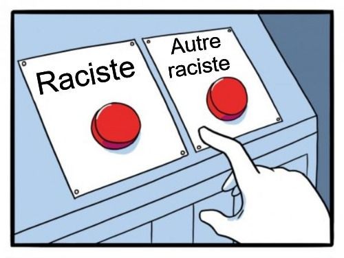 Un choix entre deux boutons "raciste" ou "autre raciste".