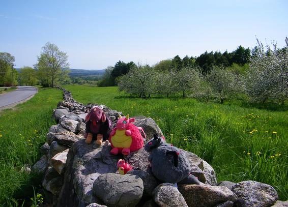 Four plush toys on a stone fence. Three of them are surrounding a baby red and yellow dragon with green eyes. To the left, there is a reddish brown creature with white horns and chicken feet. In the center is a red and yellow dragon with green eyes. To the right is a grey and black dragon with red eyes. In the background is green grass, apple trees in bloom, and in the distance, green hills. The sky is blue and a bit hazy.