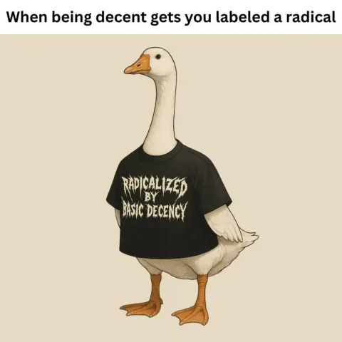An image with the caption: "When being decent gets you labeled a radical".

The image is a white goose, wearing a black t-shirt with white letters spelling "Radicalized by basic decency".

The typography of the black t-shirt is close to heavy metal/death metal band names (very spiky letters).

The goose has been anthropomorphized so that its wings go through the t-shirt sleeves and its neck through the neck opening.