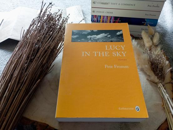 Une photo du livre Lucy in the sky, de Pete Fromm  entouré d'objets de décoration.