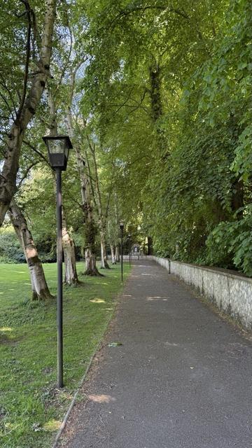 Looking down a pathway. On the left we can see a row of tree trunks and tall, black lampposts. On the right is a low stone wall and green foliage stretching up to the sky
