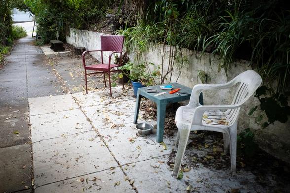 Places to sit in a quiet sidewalk space enclosed by vegetation
