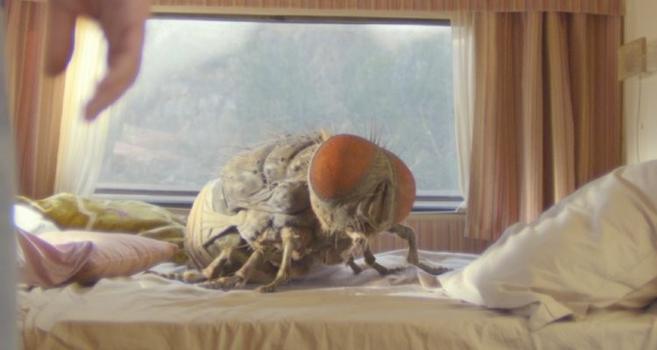 The image shows a large, oversized fly positioned on a bed inside a room. The fly's body is detailed with clear segments and prominently displayed large, reddish-brown eyes. It is positioned in the center of the bed, which is covered with rumpled white sheets and a pillow. In the background, there is a window framed with striped curtains, allowing natural light to softly illuminate the scene. On the left, blurred from focus, is a partial view of a human arm and a pillow with a yellowish cover.