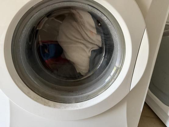 Blåhaj looking out of a washing machine, squishily.
