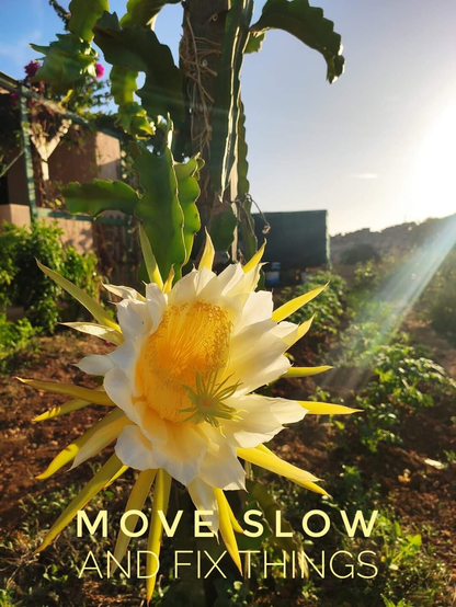 A dragonfruit flower in a Mediterranean landscape with the slogan 'move slow and fix things' .