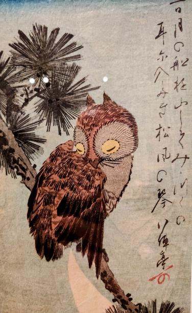 Colour woodblock print of an owl on a pine branch by Utagawa Hiroshige, printed in the 1830s. The owl has brown and black feathers, a beige chest, and around its eyes. The eyes are closed with yellow eyelids. It is dozing on a pine branch. There is a Japanese poem written on the right side of the print.