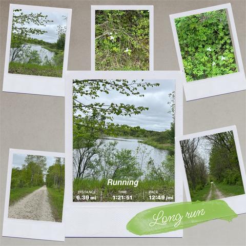 A collage of nature photos featuring a pond, flowers, grass, and running trails. The central image displays stats from a run: distance of 6.39 miles (10.28 km), time of 1:21:51, and a pace of 12:49 per mile (7:58 per km).