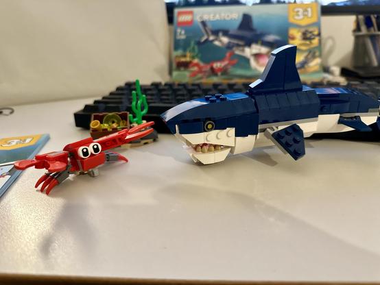 A Lego Creator set with:
A shark on the right. Blue fins, white bottom and sharp teeth.
A crab on the left. Red, big eyes.