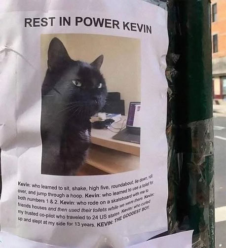 A tribute flyer posted to a pole in some urban environment:

REST IN POWER KEVIN

[photo of a black cat]
Kevin: who learned to sit, shake, high five, roundabout, roll over, and jump through a hoop.
Kevin: who learned to use a toilet for both numbers 1 & 2.
Kevin: who rode on a skateboard with me to my friends houses AND THEN USED THEIR TOILETS WHILE WE WERE THERE 
Kevin: my trusted co-pilot who traveled to 24 US states.
Kevin: who curled up and slept at my side for 13 years.

KEVIN: THE GOODEST BOY