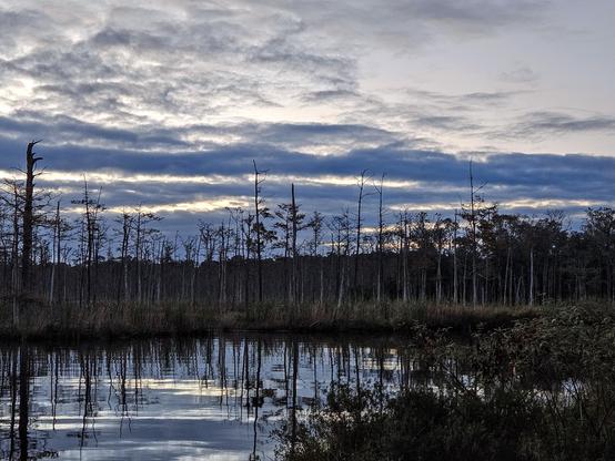 Rain clouds moving fast across an evening sky above a wetland landscape of green and brown marsh reeds, grasses and a quiet waterway reflecting back the sky drama.