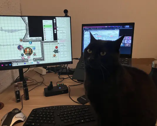 Black cat Nita sitting in front of my screens, on which I'm playing online Dungeons & Dragons, with a battle map showing on my left screen, and my character sheet and voice chat on the right screen. She has a notably disgruntled expression on her cute little face.
