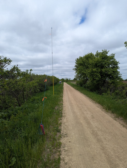 Looking west along a State Trail near midday.
The trail is light brown dirt and gravel, a "Strada Bianca".
The trail is lined with grasses and shrubs along both sides.
In the near right is a red post, attached to which is a blue cord with orange flagging tape.
The blue cord leads to the top of a yellow pole a little further along the trail, still along the right side.
In the distance you can make out a second yellow pole, another red post, and the grey ham pod.
The sky is almost completely clouded, with only a small patch of blue visible.