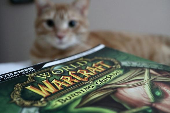 World of WarCraft Burning Crusade in foreground with a cute cat in the background