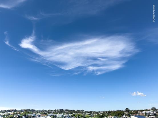 A fairly small cumulus cloud has been seized by strong winds and teased out into a much larger, vaguely whale-like shape that covers quite a lot of otherwise blue sky. Its appearance is soft, almost tenuous, but quite distinct. Underneath a suburban ridgeline sits in strong sunlight.