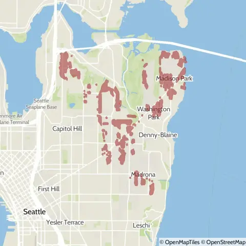 A map showing the location of the outage, centered around Lake Washington Boulevard East in the Madison Park area.