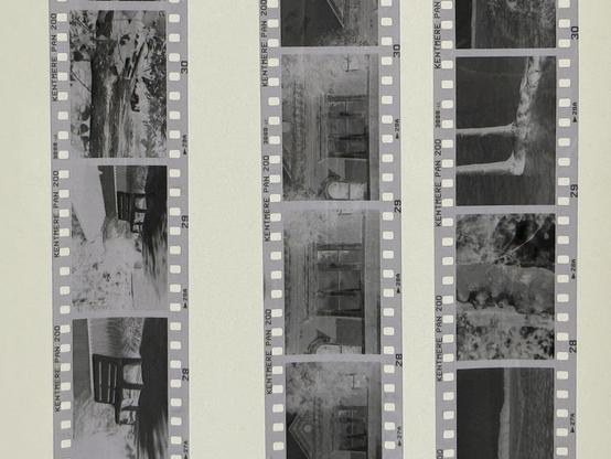 Negatives hanging to dry