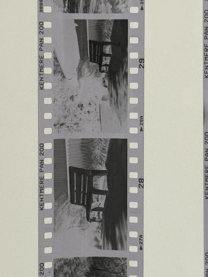 Negatives hanging to dry