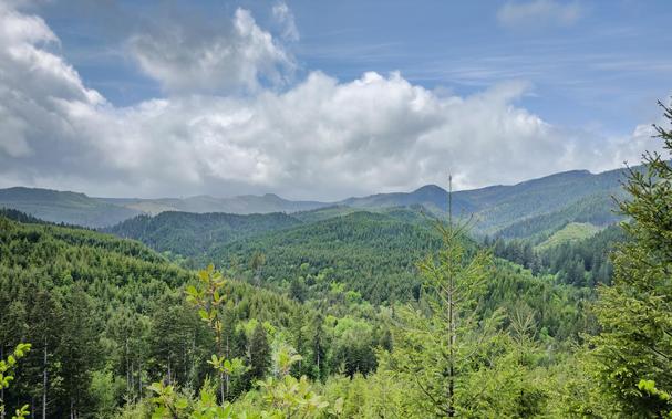 A panoramic view of lush green mountains and forests under a partly cloudy sky. The scene features various shades of green from the trees, with rolling hills in the background