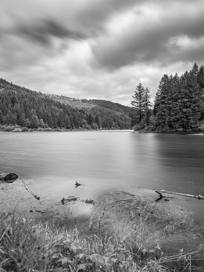 A black and white landscape featuring a serene river surrounded by dense forests and rolling hills under a cloudy sky. The foreground includes grasses and debris along the water's edge, contributing to the tranquil atmosphere