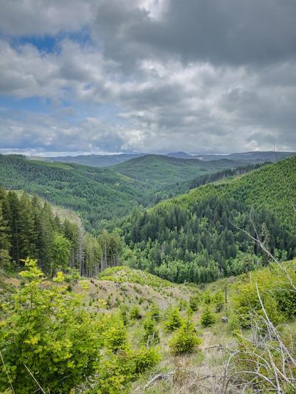 A panoramic view of lush green hills and valleys under a partly cloudy sky. Various shades of green vegetation populate the landscape, with patches of trees and some clearings, creating a serene natural setting