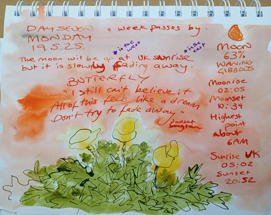 A bright orange ink sketch background. Foreground is three yellow flowers in green foliage. A near quarter moon is top right, and text about BTS and the moon.