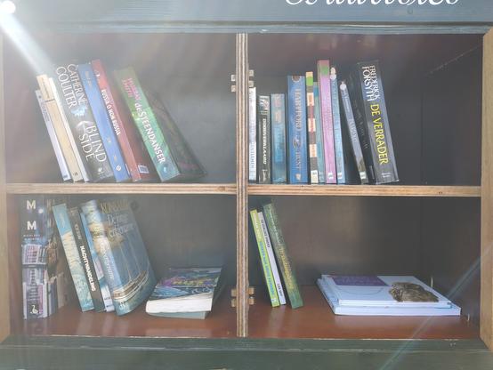 De boeken achter de linker- en het middelste deurtje (planken zijn half gevuld)