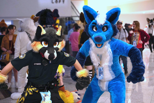Two coyote fursuiters, one blue and one black and yellow, pose in an intimidating stance for the camera.