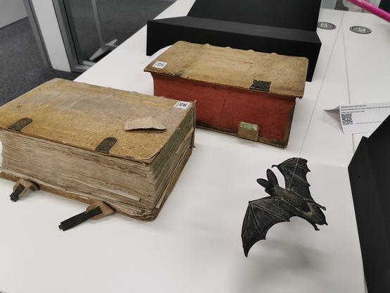 Die Archivfledermaus Archibald fliegt über einen Tisch mit alten Büchern.