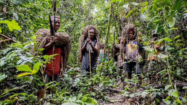 #News: Report by Oakland Institute finds Bill and Melinda Gates Foundation is funding #PHC #palmoil plantations in the #DRC. Operating on land seized during colonial times. Communities face #violence and #ecocide. #HumanRights #LandRights #BoycottPalmOil  https://www.oaklandinstitute.org/report/king-leopolds-steps?utm_source=mastodon&utm_medium=Palm+Oil+Detectives&utm_campaign=publer