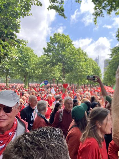 Detail of the crowd at Malieveld, The Hague, protesting Israel’s genocide in Gaza.