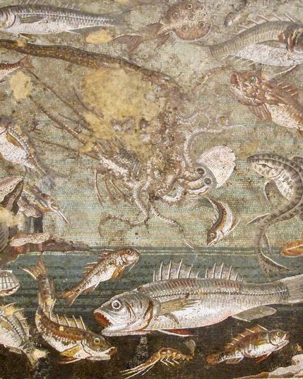 Image description: various marine creatures appear in the sea and the sky of this imaginative mosaic panel including a central squid-like animal. The border of the mosaic is patterns of floral and foliage elements. Photo credit: Sailko via Wikimedia Commons.