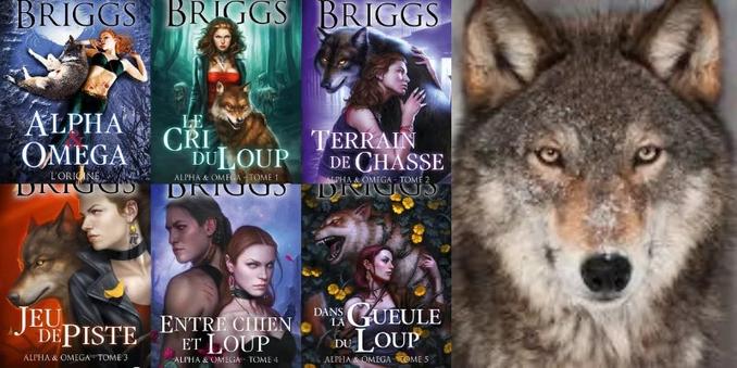 Le mythe du mâle alpha et les jeux de loups-garous : faut-il tout repenser ?