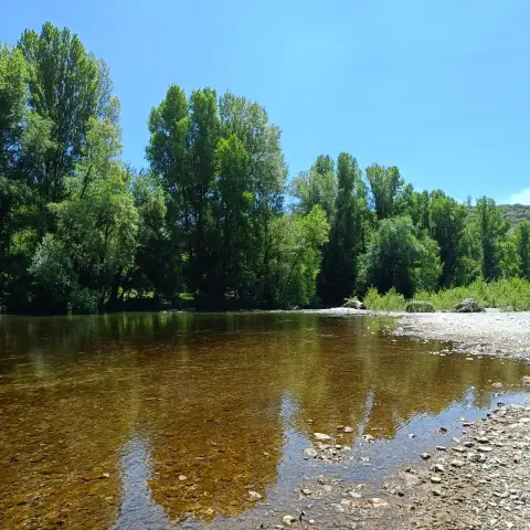 Au bord de l'Hérault