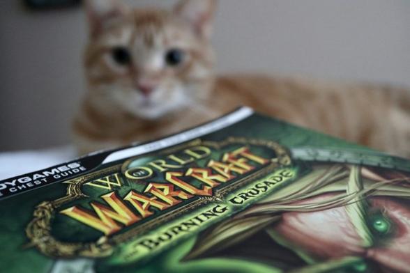 World of WarCraft Burning Crusade in foreground with a cute cat in the background
