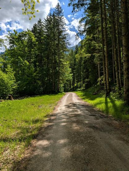 Es ist ein Schotterweg zu sehen, der an beiden Seiten von Wiesen und Bäumen gesäumt wird. Bei blauen leicht bewölkten Himmel.