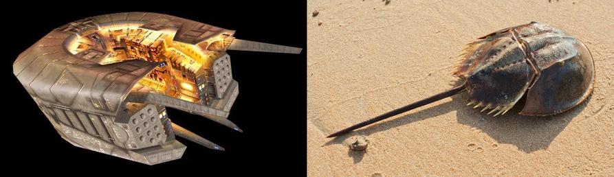 ENG: Two pictures side by side: On the left, there's a Bentusi ship from Homeworld, and on the right the picture of a horseshoe crab. The shape of the two is strikingly similar.

DE: Zwei Bilder nebeneinander: Links ist ein Bentusi-Schiff aus Homeworld zu sehen und rechts ein Pfeilschwanzkrebs. Die Form der beiden ist auffallend ähnlich.

Image credit/Bildnachweis: homeworld.fandom.com; Jarous/Shutterstock.com